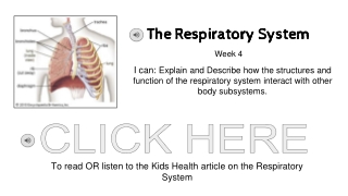 [Template] Respiratory System Activity WEEK 4 Rott