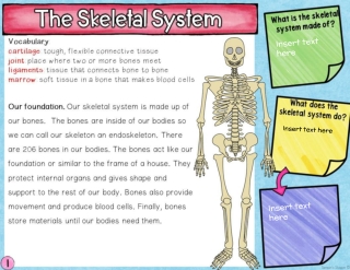 Q1 Week 7 Rott Skeletal and Muscular System Digital Reading ROTT 2020