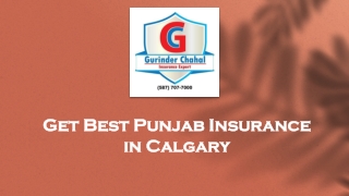 Get Best Punjab Insurance in Calgary