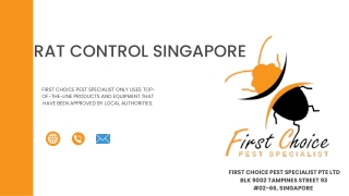 Rat Control Singapore