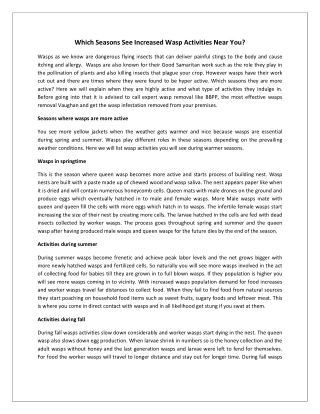 Which Seasons See Increased Wasp Activities Near You