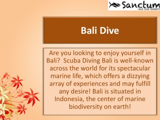Bali Dive