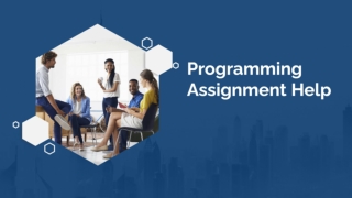 programming assignment help