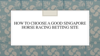 How To Choose A Good Singapore Horse Racing Betting Site