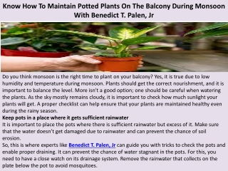 Know How To Maintain Potted Plants On The Balcony During Monsoon With Benedict T. Palen, Jr