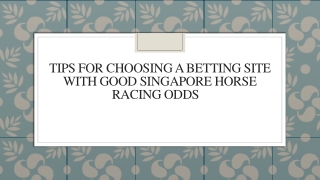 Tips For Choosing A Betting Site With Good Singapore Horse Racing Odds