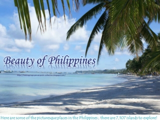 Beauty of Philippines