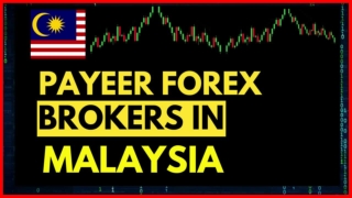 Payeer Forex Brokers In Malaysia