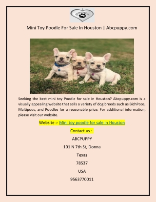 Mini Toy Poodle For Sale In Houston  Abcpuppy