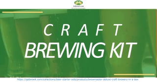 Make A Best Christmas Gift Our of This Craft Brewing Kit - Go Brew It