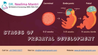 Stages of Prenatal Development | Dr Neelima Mantri