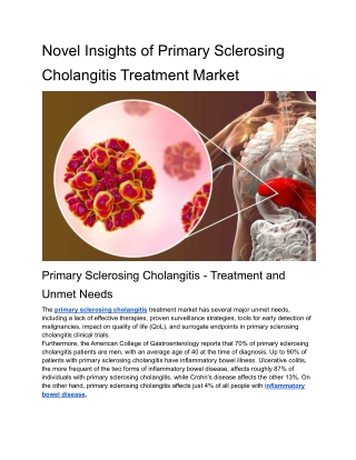 Novel Insights of Primary Sclerosing Cholangitis Treatment Market