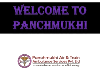 Panchmukhi Road Ambulance Services in kaushambi, Delhi with Transfer Sick Patient