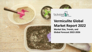 Vermiculite Industry Analysis, Size, Share, Trends, Growth And Forecasts 2031