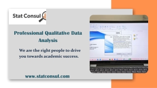 Professional Qualitative Data Analysis