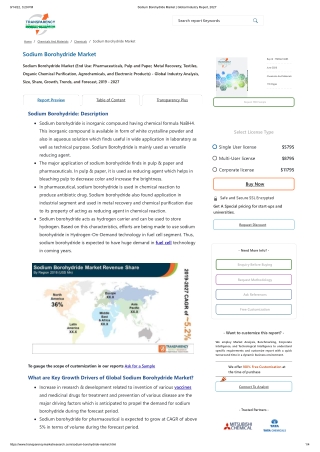 Sodium Borohydride Market _ Global Industry Report, 2027