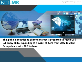 Dimethicone Silicone Market
