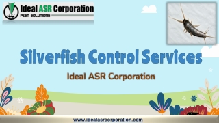 silverfish control services ppt