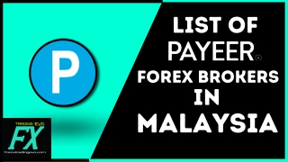 Top Payeer Forex Brokers In Malaysia