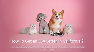 How To Get an ESA Letter In California ?