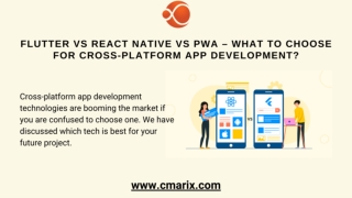 Flutter vs React Native vs PWA – What to Choose for Cross-Platform App Developme
