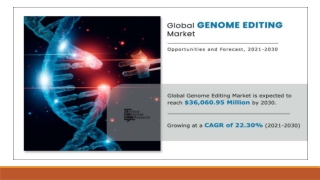 Genome Editing Market Size, Share, Growth, Trends, Forecast 2022-2030