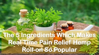 The 5 Ingredients Which Makes Real Time Pain Relief Hemp Roll-on So Popular