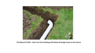 The Wizard of SOD – Save You from Dealing with Nasty Drainage Issues in the Future