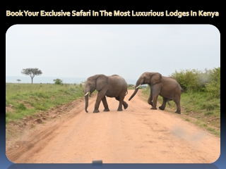 Book Your Exclusive Safari In The Most Luxurious Lodges In Kenya