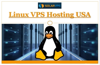 Linux VPS Hosting USA