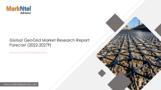 Geogrid Market Insight By Trends, Growth and End User Analysis