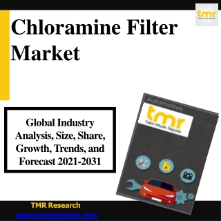 Chloramine Filter - Development and Challenges