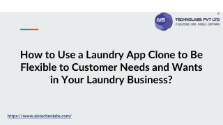 How to Use a Laundry App Clone to Be Flexible to Customer Needs and Wants in Your Laundry Business