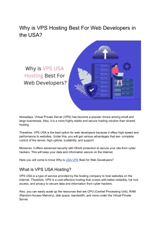 Why is VPS USA Hosting Best for Web Developers?