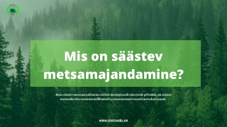 Mis on säästev metsamajandamine