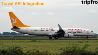 Travel API Integration