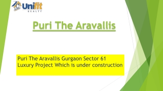 Puri Aravallis