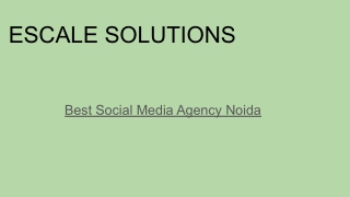 social media agency noida -ESCALE SOLUTIONS