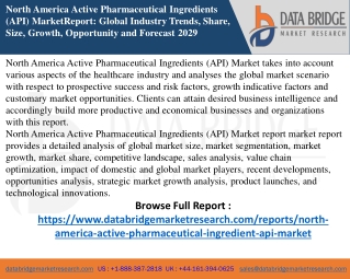 north-america-active-pharmaceutical-ingredient-api-market