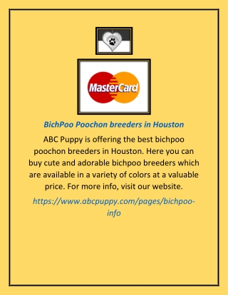 BichPoo Poochon breeders in Houston