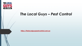 Termite Treatment Cost Sydney | Thelocalguyspestcontrol.com.au