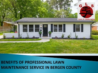 BENEFITS OF PROFESSIONAL LAWN MAINTENANCE SERVICE IN BERGEN COUNTY