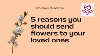 5 reasons you should send flowers to your loved ones - Stemmz.com