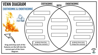 Exothermic and Endothermic Reactions Venn Diagram  7th grade science q2 week 8