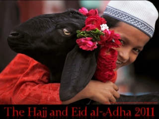 Hajj and Eid al-Adha 2011 (part2)