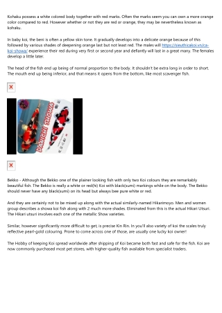Koi Fish Meaning - Understanding Their Symbolic Values