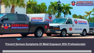 Finding The Mold Remediation Inspection Service In Fort Myers