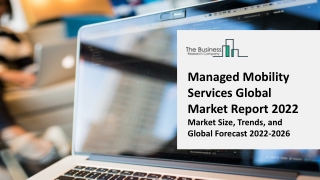 Managed Mobility Services Market 2022 - 2031