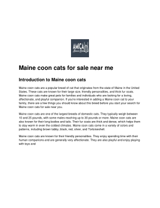 Maine coon cats for sale near me