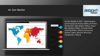 Air Gun Market